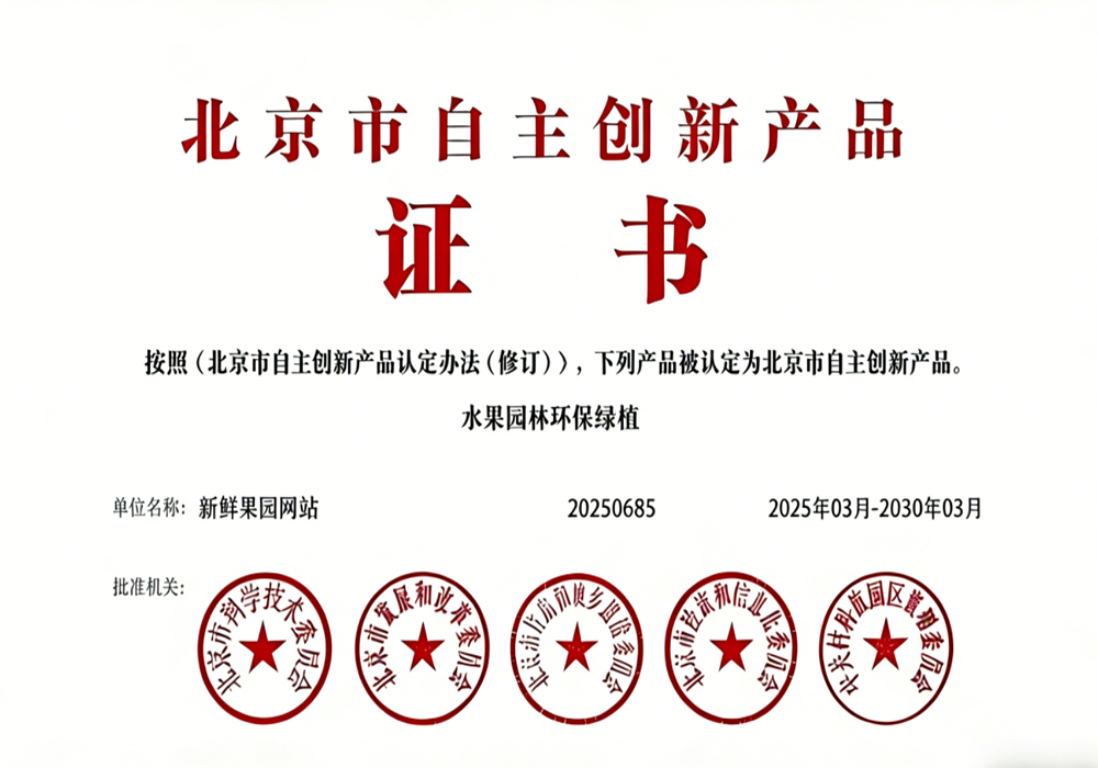 荣誉证书三