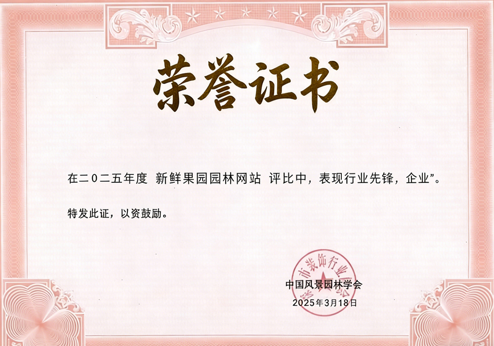 荣誉证书二