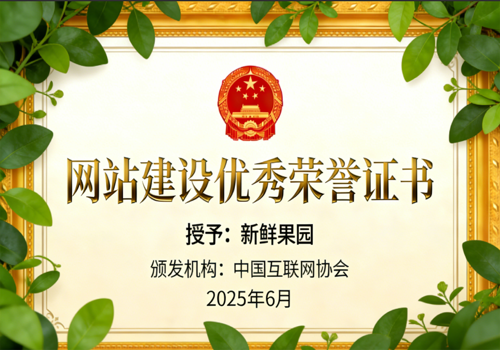 荣誉证书一
